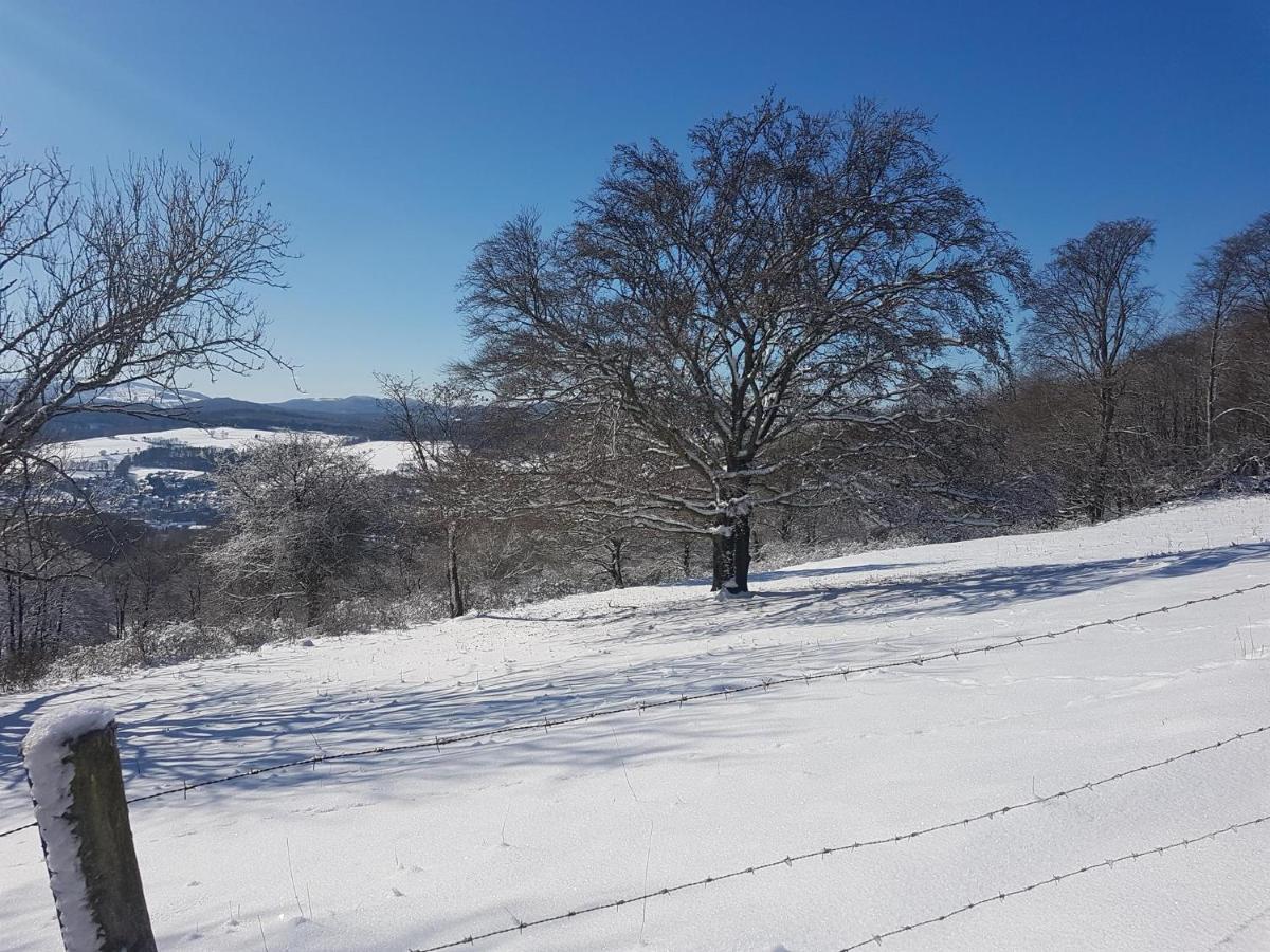 Ferienhaus Geier Hilders Dış mekan fotoğraf